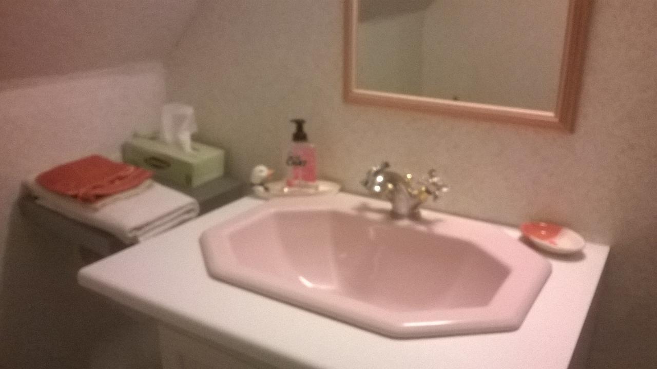 Le Hameau Aux Escargots Bed and Breakfast Bernon Kamer foto